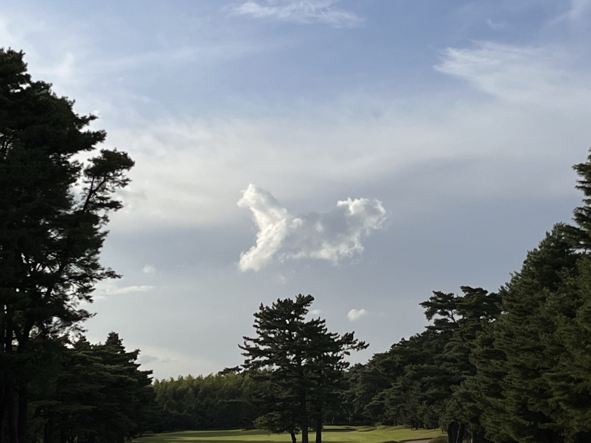 コースの景観